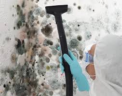 Why You Should Choose Our Mold Remediation Services in Proctor, VT